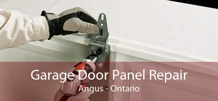 Garage Door Panel Repair Angus - Ontario