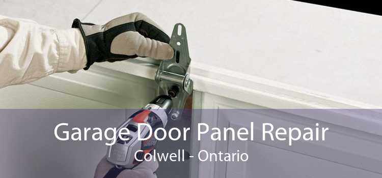 Garage Door Panel Repair Colwell - Ontario