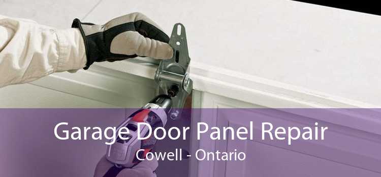 Garage Door Panel Repair Cowell - Ontario