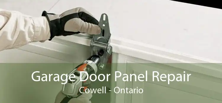 Garage Door Panel Repair Cowell - Ontario