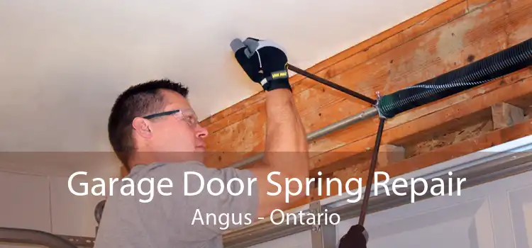 Garage Door Spring Repair Angus - Ontario