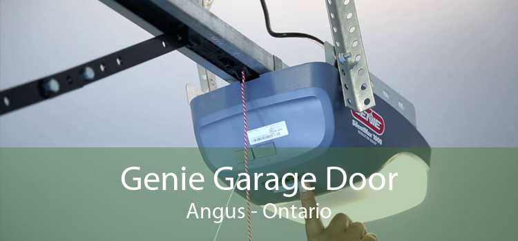 Genie Garage Door Angus - Ontario