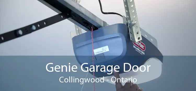 Genie Garage Door Collingwood - Ontario