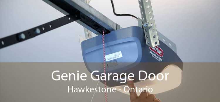 Genie Garage Door Hawkestone - Ontario