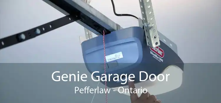 Genie Garage Door Pefferlaw - Ontario