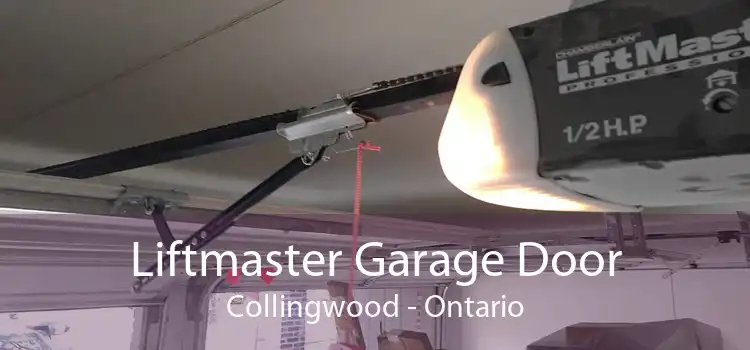 Liftmaster Garage Door Collingwood - Ontario