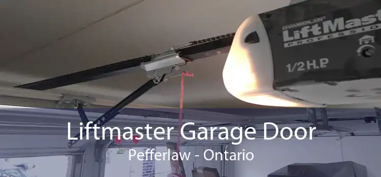 Liftmaster Garage Door Pefferlaw - Ontario
