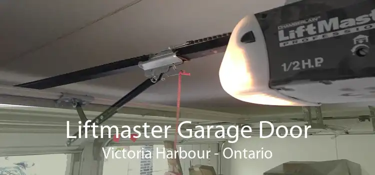 Liftmaster Garage Door Victoria Harbour - Ontario