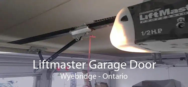 Liftmaster Garage Door Wyebridge - Ontario
