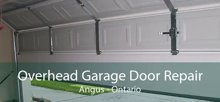 Overhead Garage Door Repair Angus - Ontario