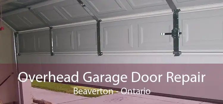 Overhead Garage Door Repair Beaverton - Ontario
