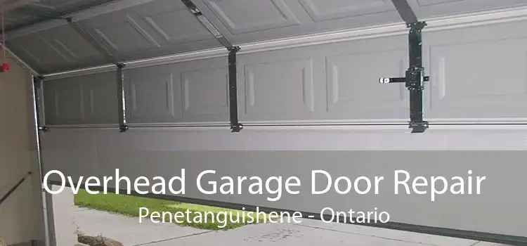 Overhead Garage Door Repair Penetanguishene - Ontario