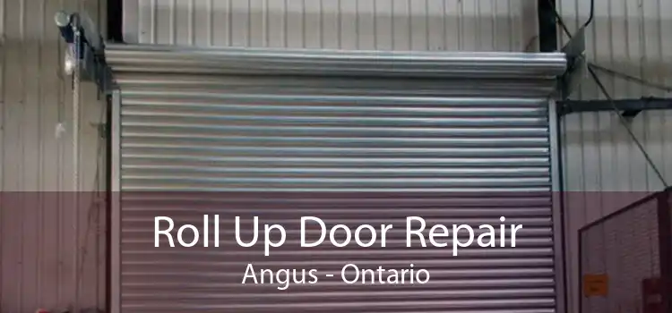 Roll Up Door Repair Angus - Ontario