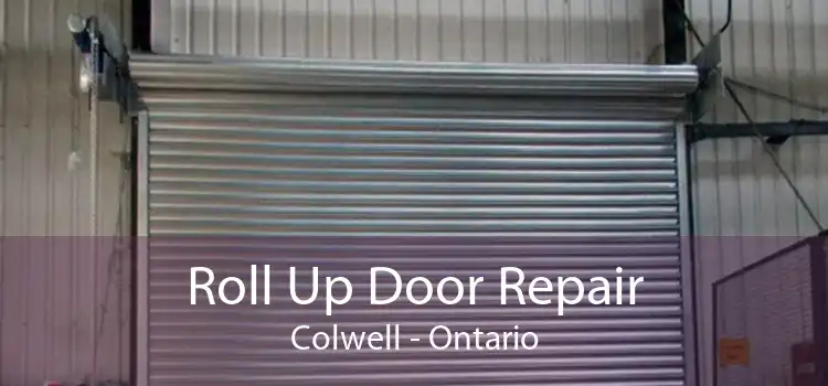 Roll Up Door Repair Colwell - Ontario