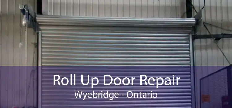Roll Up Door Repair Wyebridge - Ontario